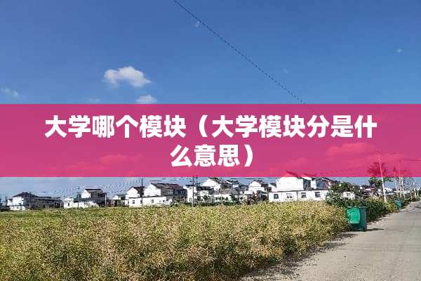 大学哪个模块（大学模块分是什么意思）
