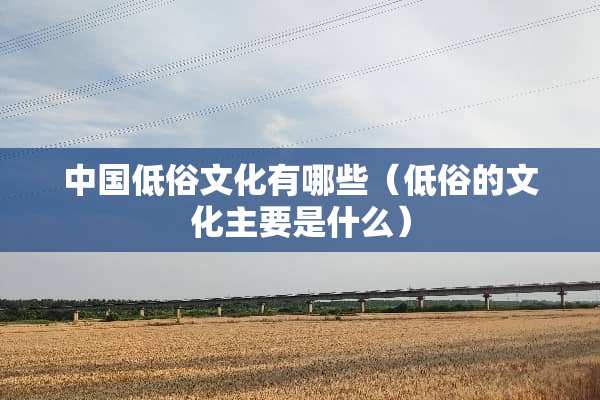 中国低俗文化有哪些（低俗的文化主要是什么）