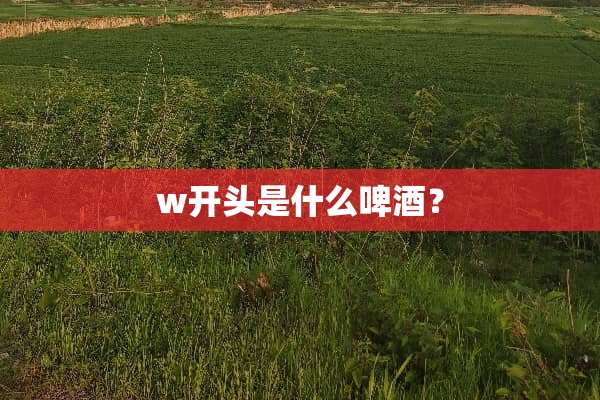 w开头是什么啤酒？