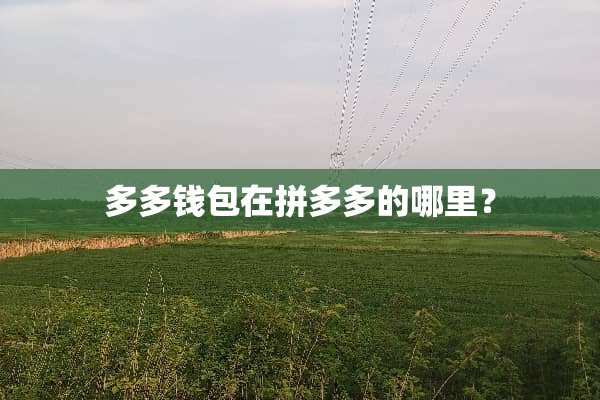 多多钱包在拼多多的哪里？