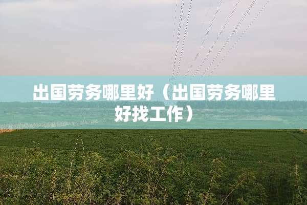 出国劳务哪里好（出国劳务哪里好找工作）