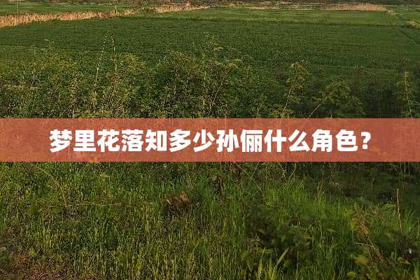 梦里花落知多少孙俪什么角色？