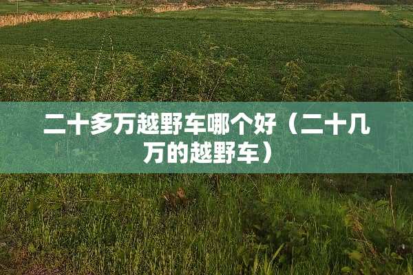 二十多万越野车哪个好（二十几万的越野车）
