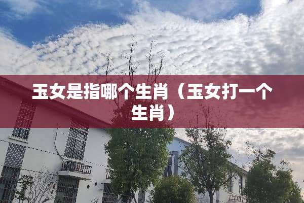 玉女是指哪个生肖（玉女打一个生肖）