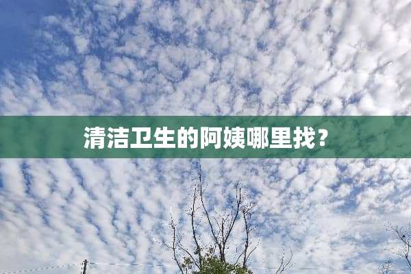 清洁卫生的阿姨***？