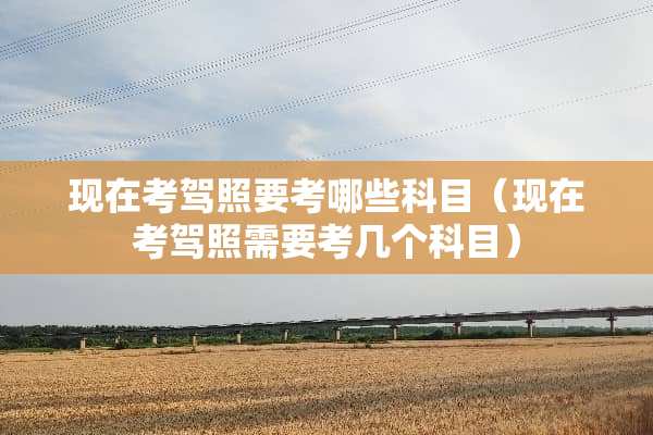 现在考驾照要考哪些科目（现在考驾照需要考几个科目）