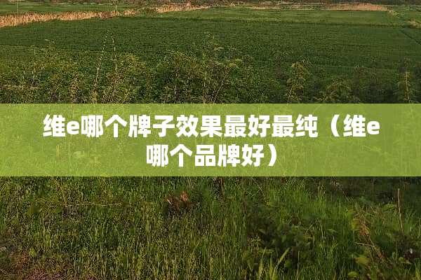 维e哪个牌子效果最好最纯（维e哪个品牌好）