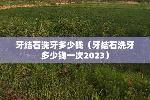 牙结石洗牙多少钱（牙结石洗牙多少钱一次2023）
