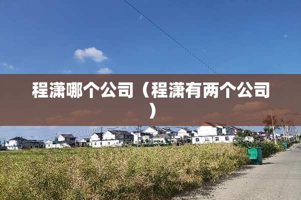 程潇哪个公司（程潇有两个公司）