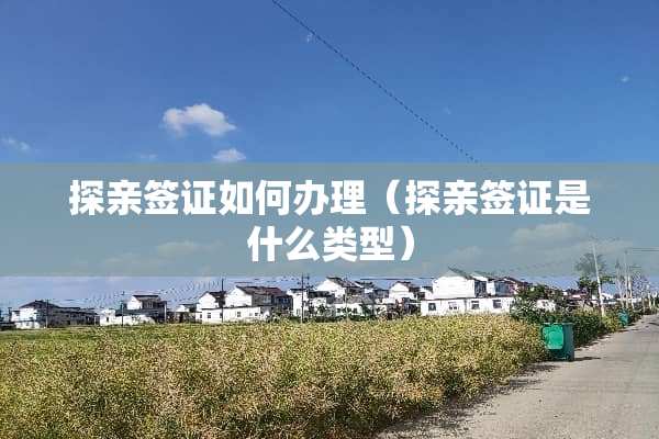 探亲签证如何办理（探亲签证是什么类型）