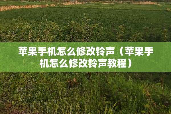 苹果手机怎么修改铃声（苹果手机怎么修改铃声教程）