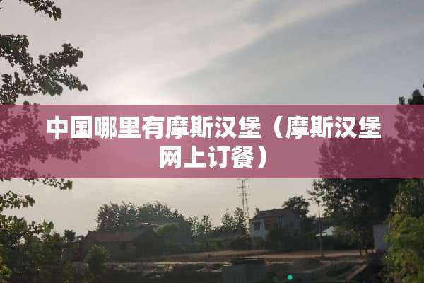 中国哪里有摩斯汉堡（摩斯汉堡网上订餐）