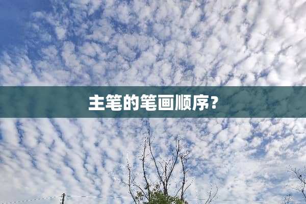 主笔的笔画顺序？
