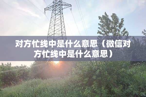 对方忙线中是什么意思（微信对方忙线中是什么意思）