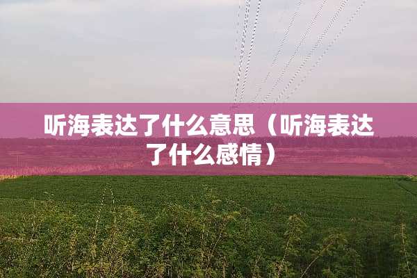 听海表达了什么意思（听海表达了什么感情）