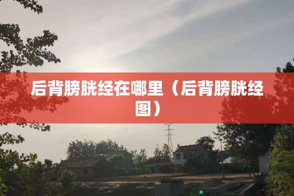 后背膀胱经在哪里（后背膀胱经图）