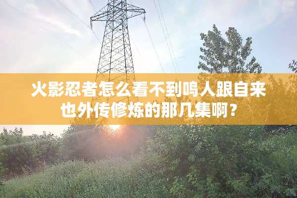 火影忍者怎么看不到鸣人跟自来也外传**的那几集啊？