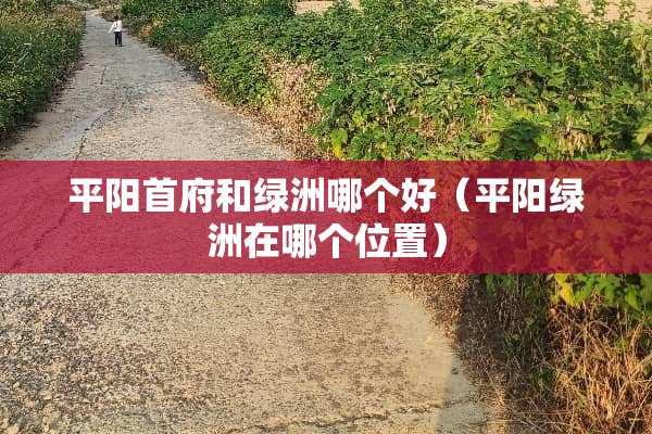 平阳首府和绿洲哪个好（平阳绿洲在哪个位置）