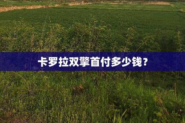 卡罗拉双擎首付多少钱？