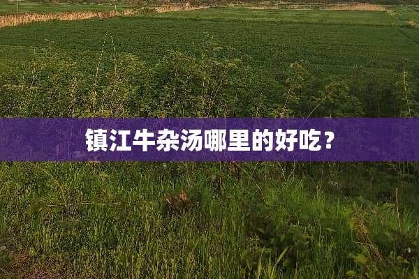 镇江牛杂汤哪里的好吃？