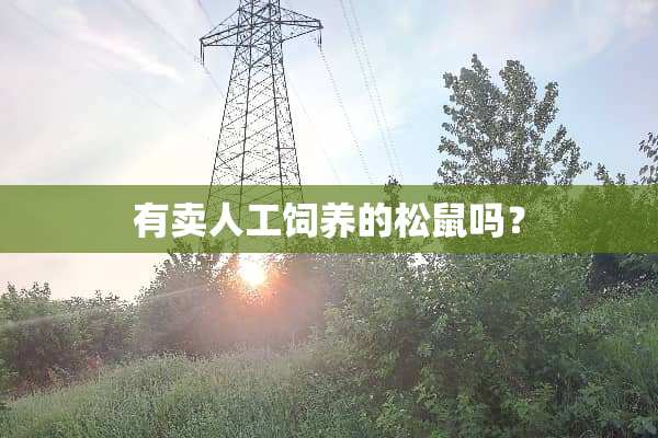 有卖人工饲养的松鼠吗？