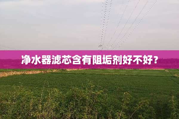 ***滤芯含有阻垢剂好不好？
