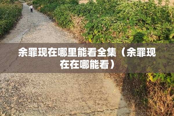 余罪现在哪里能看全集（余罪现在在哪能看）