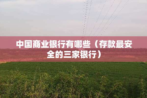 中国商业银行有哪些（存款最安全的三家银行）