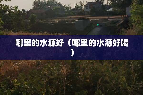 哪里的水源好（哪里的水源好喝）