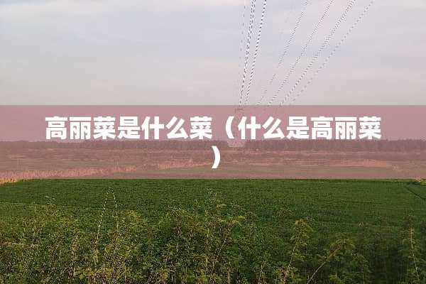 高丽菜是什么菜（什么是高丽菜）