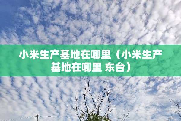 小米生产基地在哪里（小米生产基地在哪里 东台）