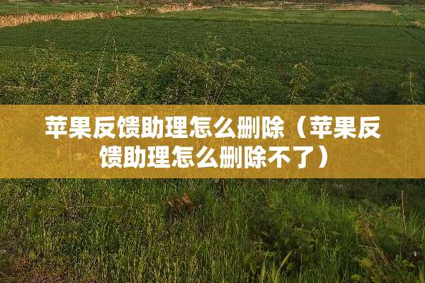 苹果反馈助理怎么删除（苹果反馈助理怎么删除不了）