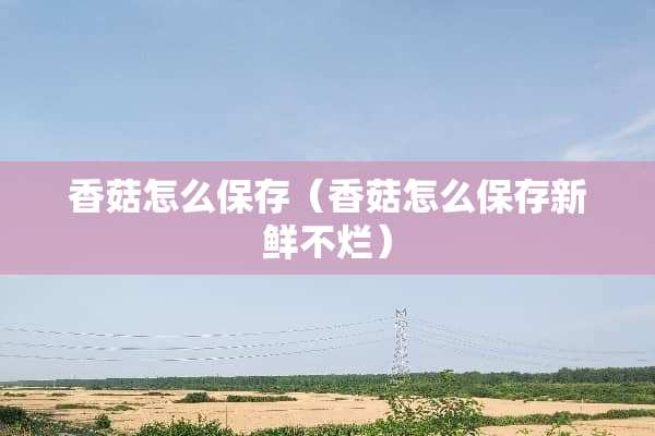 香菇怎么保存（香菇怎么保存新鲜不烂）