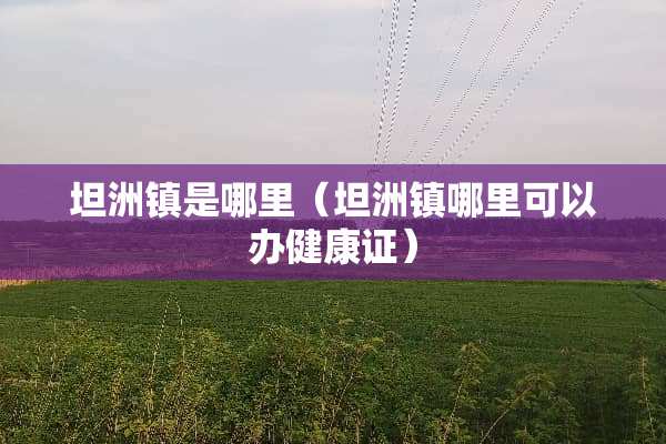 坦洲镇是哪里（坦洲镇哪里可以办健康证）