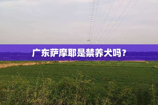 广东萨摩耶是禁养犬吗？