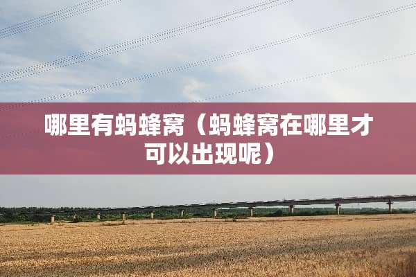 哪里有蚂蜂窝（蚂蜂窝在哪里才可以出现呢）