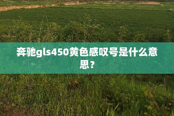 奔驰gls450**感叹号是什么意思？