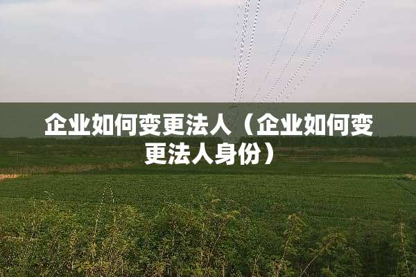 企业如何变更法人（企业如何变更法人身份）