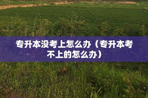 专升本没考上怎么办（专升本考不上的怎么办）