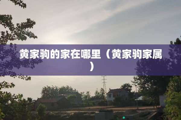 黄家驹的家在哪里（黄家驹家属）