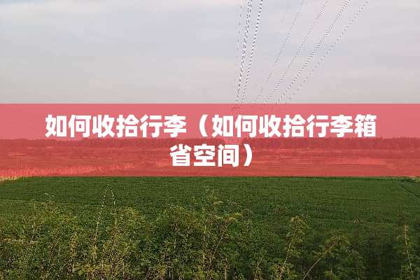 如何收拾行李（如何收拾行李箱省空间）