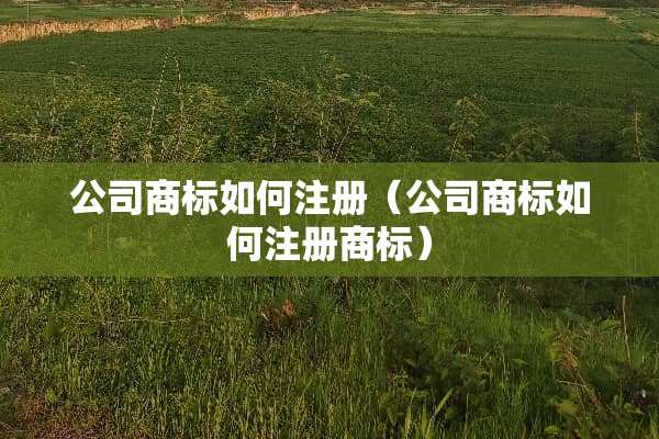 公司商标如何注册（公司商标如何注册商标）