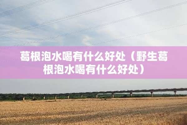 葛根泡水喝有什么好处（野生葛根泡水喝有什么好处）