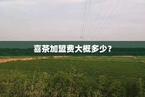 喜茶加盟费大概多少？