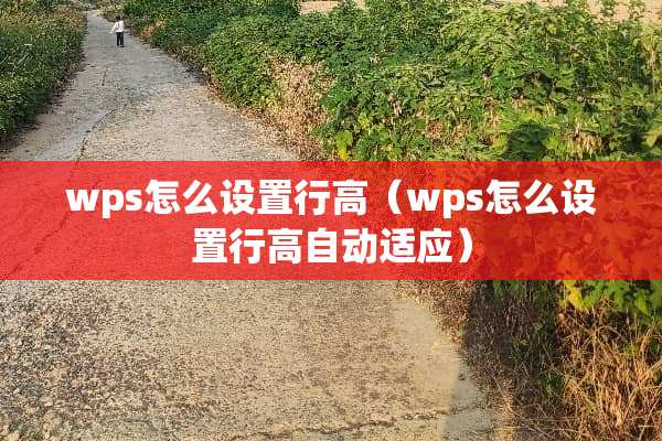wps怎么设置行高（wps怎么设置行高自动适应）