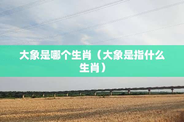 大象是哪个生肖（大象是指什么生肖）