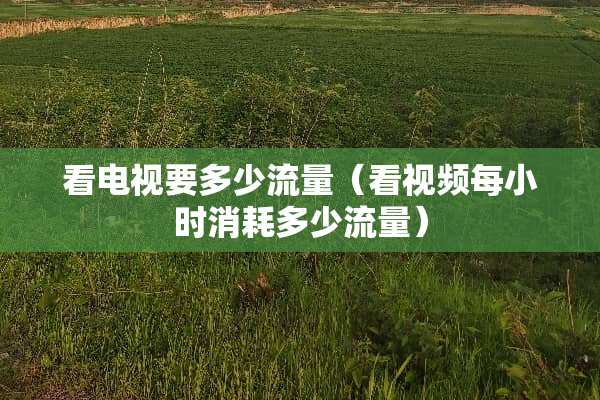 看电视要多少流量（看视频每小时消耗多少流量）