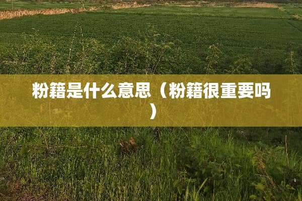 粉籍是什么意思（粉籍很重要吗）