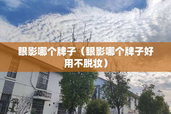 眼影哪个牌子（眼影哪个牌子好用不脱妆）
