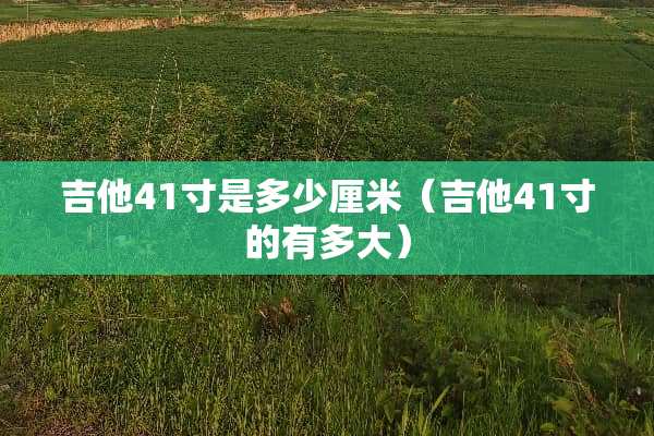 吉他41寸是多少厘米（吉他41寸的有多大）